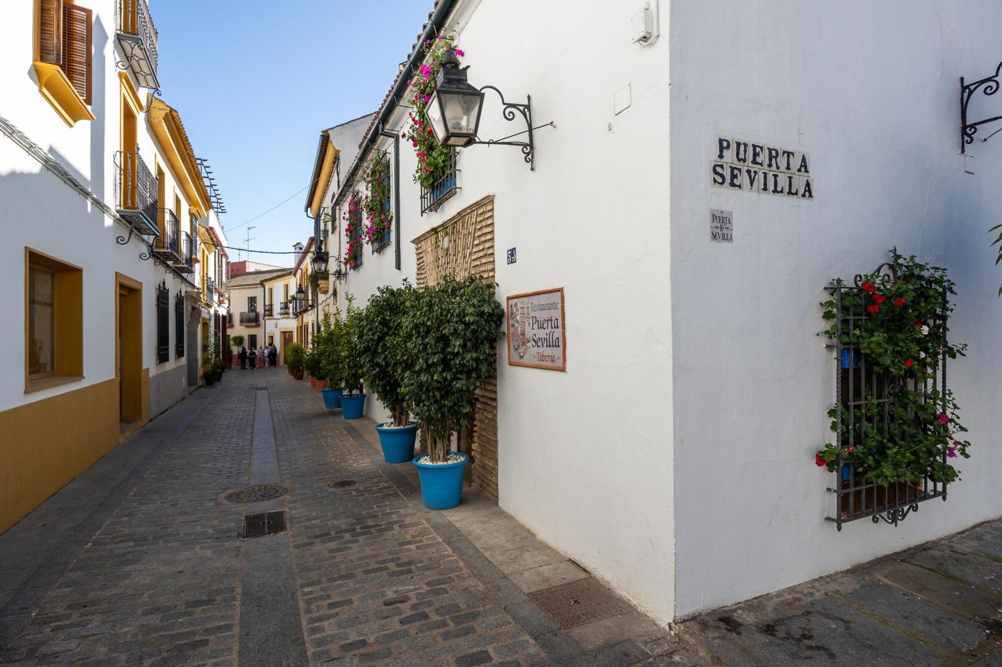 Las Flores De San Basilio Córdoba Kültér fotó